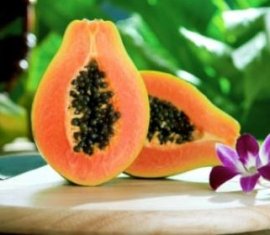 greenberry-shakeology-recipe-papaya-passion-shake